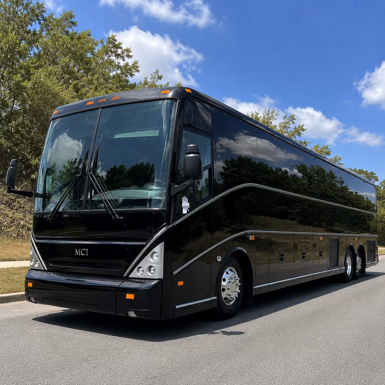 ocala national forest and outdoor education field trips